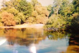 Dover Cabin | Ogeechee River Cabin Statesboro, GA