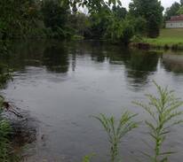 Fife Lake Cabin | The Cute Manistee River Cabin/great trout fishing!