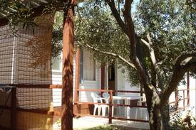 Viganj House | Mobile Homes Viganj 2 (Pelješac)