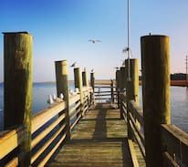 Sapelo Island Cabin | Painted Bunting Cottage-Sapelo Island Birdhouses