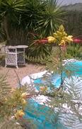El Rincon House | chez l'habitant Rural B&B- La Tajinaste