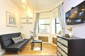Central Park West Apartment | *ODYSSEY* Sunny 1 Bedroom Apt- Bright & Cheery!