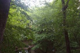 Bolu Apartment | The heart of the nature Bolu