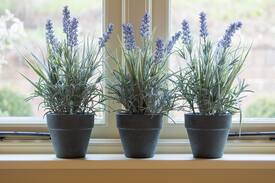 Lugwardine Bed & Breakfast | The Steppes B&B Blue Room