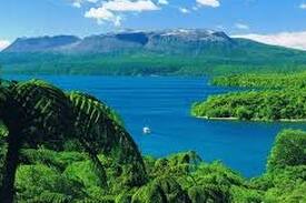 Lake Tarawera House | Lake Tarawera. The Fat Pigeon Homestead sleeps 12