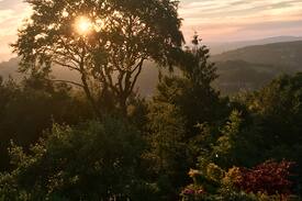 Lydbrook Cabin | Picture perfect cottage with stunning views