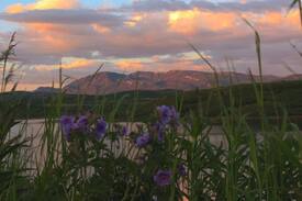Susitna North Cabin | Caribou Lodge Alaska - Cabin 1