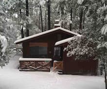Pine Cabin | Cabin Sweet Cabin in The Cool Pines
