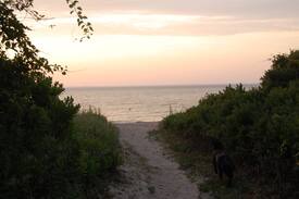 Shinnecock Hills House | Beach Plum Cottages, Cottage #2