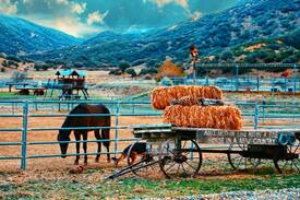 Ojai Cabin | The Ojai Cowboy Cabin at Rancho Grande