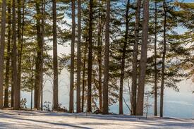 South Casco Cabin | Beautiful Lakeside Cottage- Big Sebago Lake