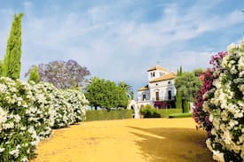 Gerena Villa | Hacienda La Caprichosa. Sevilla. España.