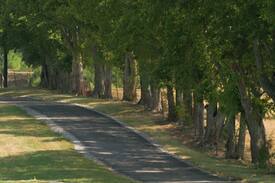 Bethpage Other | Rock Creek Farm