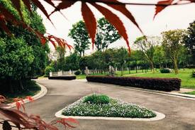 Dujiangyan Villa | 青城山下－绿调小院