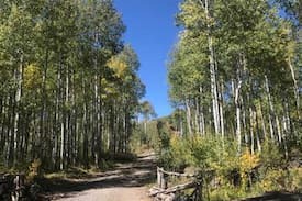Cedaredge Cabin | Tanker Mountain High Park Lodge 1,000 Acres