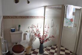 Bushy Park Bed & Breakfast | Roslyn House B&B - The Queen Room