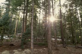 Greer Cabin | Branding Iron Cabin