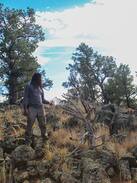 Fence Lake Other | Mujeres Valley Campground