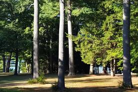 Harrison House | Harrison Maine Lake House (Naples/Bridgton Area)