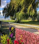 Okanagan-Similkameen Other | Summerland Lakeside Vacation (Winter)