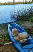 Fort Ogden House | Peace River, Free Kayaking, no cleaning fee