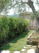 Pescaglia House | Nonna Afra house on Lucca hills with great view