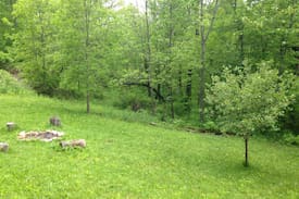 Soldiers Grove Cabin | Amish cabin on beautiful 40 acres