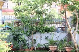 Nagarjun House | Private cozy rooms with local family in Kathmandu.