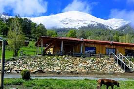 Victoria Cabin | Cabañas Bellavista, Lonquimay (6 personas)
