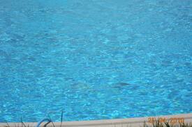 Palombara Sabina Villa | Splendida villa con piscina