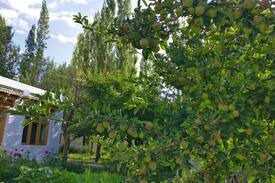 Leh Other | Chalung House: Stok View Farmstay in Leh, Chik