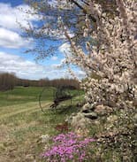 Canton Other | Canton, NY 1860's Farmhouse 15 Min to Universities