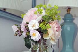 Criggion Bed & Breakfast | Brimford House B&B Primrose room double