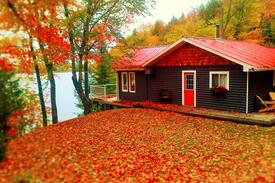 Dunchurch Cabin | Red Roof Cottage