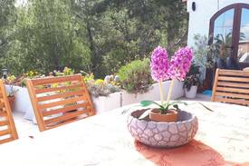 La Colina Villa | Casa Corazon
