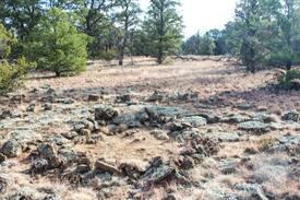 Fence Lake Other | Mujeres Valley Campground