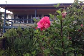 Pambula Beach House | Family Beach House, Pambula