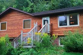 Lansing Cabin | White Pine W/Hot Tub Jacuzzi & Swimming Pond