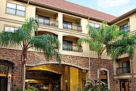 Uptown Apartment | Montierra Apartments