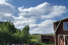 Clark Other | Love-a-Llama Lodge ~ MINI GUEST RANCH