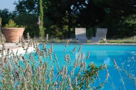 Montelovesco Apartment | Agriturismo Umbria pool & tennis