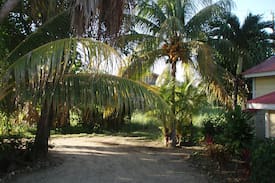 Toledo District Cabin | The Monkey House Belize