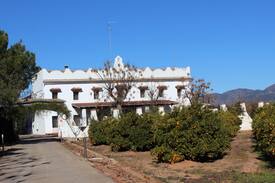 Betera Villa | MASIA CON PLANTACIÓN DE NARANJOS