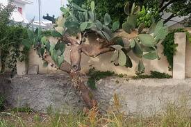 Casalabate Villa | Garden Paradise House, Casalabate, Lecce