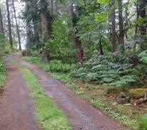 Salt Spring Island House | Soul Reflections
