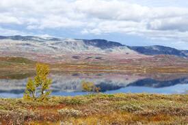 Hol Hotel | Hallingskarvet Hotell