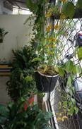 My Tho House | EM'S HOMESTAY - AIRBNB IN MYTHO CITY