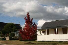 Braidwood Cabin | Poets' Corner