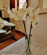 Sales Apartment | - Route de Santiago Appartement 6 personnes -