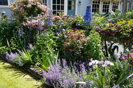 Canterbury House | Ridge Road Gardens Cottage